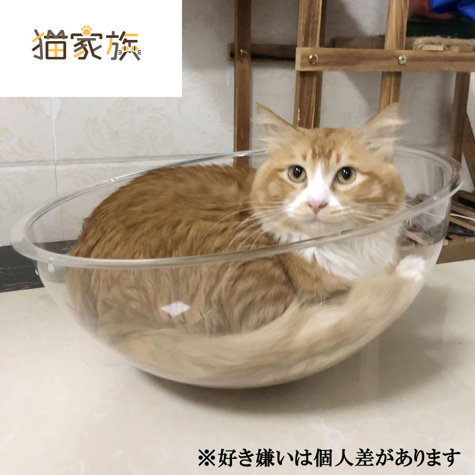 Amazon | 猫家族 割れにくい 宇宙船カプセル キャットタワー 追加